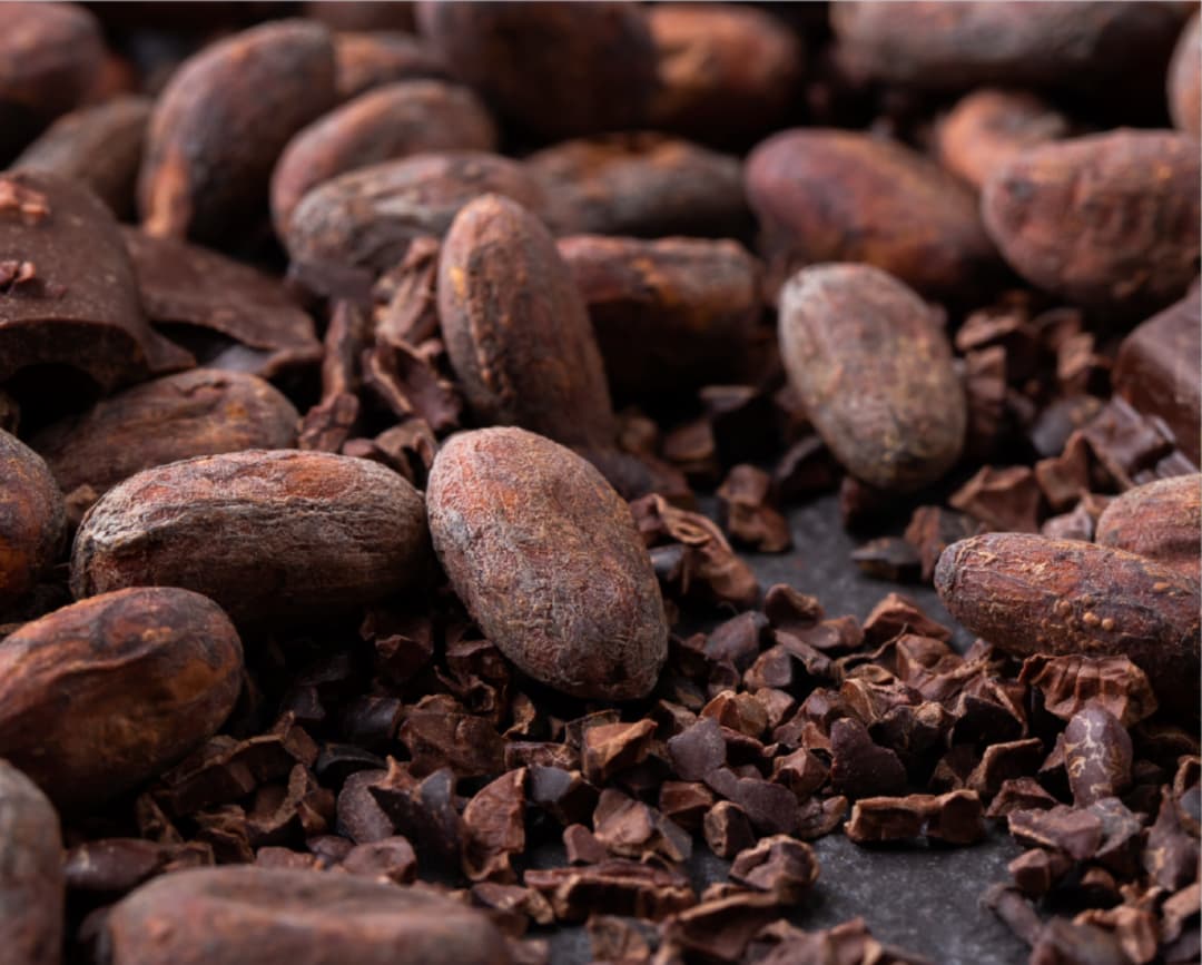 Cocoa